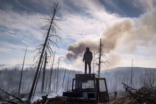 Последствия лесных пожаров в Бурятии - Sputnik Кыргызстан