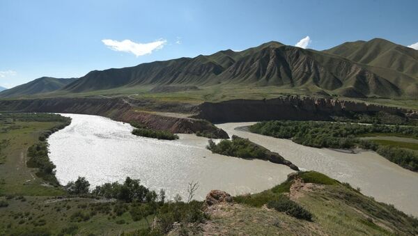 Река Нарын. Архивное фото - Sputnik Кыргызстан