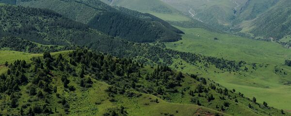 Ущелье Чункурчак в 45 километрах от Бишкека. Архивное фото - Sputnik Кыргызстан