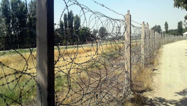 Граница между Узбекистаном в Ноокенском районе - Sputnik Кыргызстан