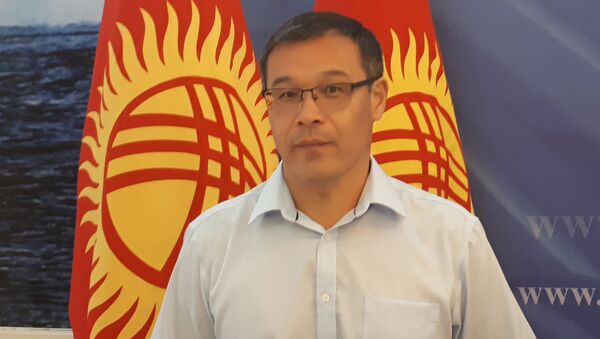 Политолог Шерадил Бактыгулов - Sputnik Кыргызстан