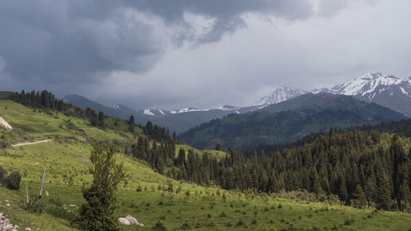 Долина Жыргалан в Иссык-Кульской области. Архивное фото - Sputnik Кыргызстан