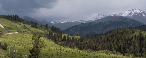 Природа Жыргалана. Иссык-Кульская область Природа Жыргалана. Иссык-Кульская область - Sputnik Кыргызстан