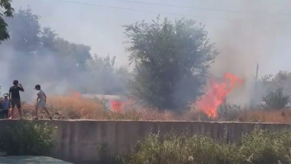 В Бишкеке сгорело 2 гектара сухотравья — кадры пожара - Sputnik Кыргызстан