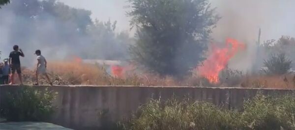 В Бишкеке сгорело 2 гектара сухотравья — кадры пожара В Бишкеке сгорело 2 гектара сухотравья — кадры пожара - Sputnik Кыргызстан