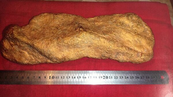 Золотой самородок весом 10,3 килограмма, найденный в Хабаровском крае - Sputnik Кыргызстан