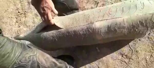 Как этим играть в кок-бору? — резиновый муляж козла порвался за 10 минут - Sputnik Кыргызстан