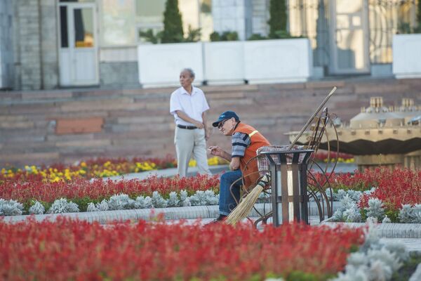 Деятельность МП Тазалык в Бишкеке - Sputnik Кыргызстан