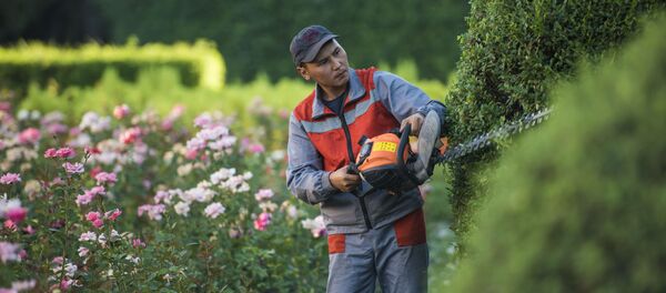 Деятельность МП Тазалык в Бишкеке Деятельность МП Тазалык в Бишкеке - Sputnik Кыргызстан