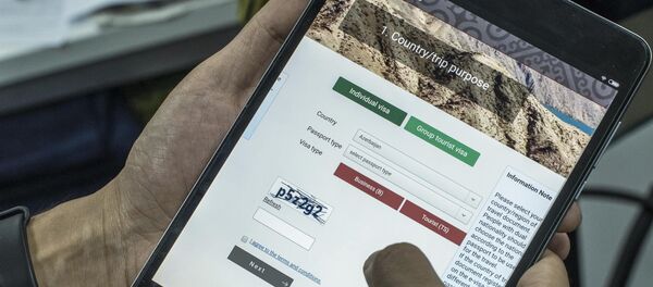 Сайт evisa.e-gov.kg - Sputnik Кыргызстан