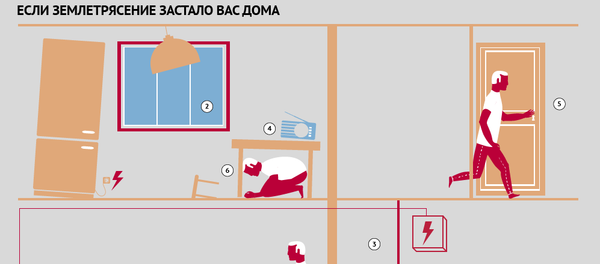 Просто и понятно — как действовать во время землетрясения Просто и понятно — как действовать во время землетрясения - Sputnik Кыргызстан