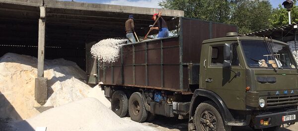 Деятельность муниципального предприятия Тазалык - Sputnik Кыргызстан