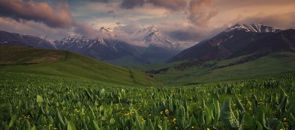 Летний отдых в Чуйской области: ущелья, каньоны и обалденный кумыс - Sputnik Кыргызстан