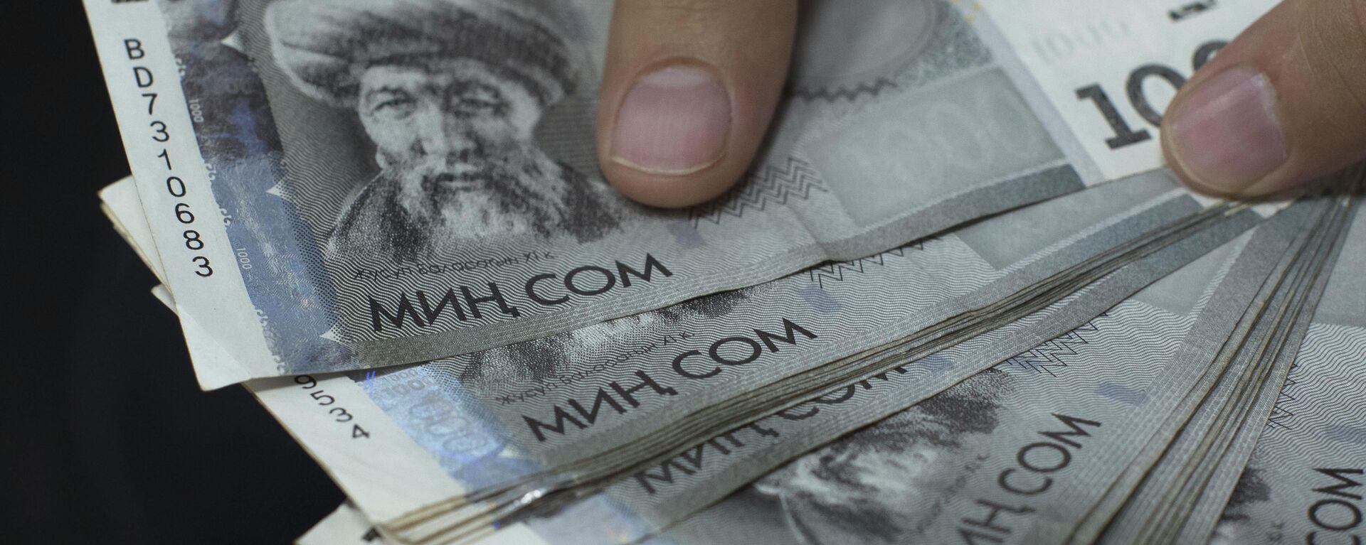Мужчина пересчитывает деньги. Архивное фото - Sputnik Кыргызстан, 1920, 31.03.2021