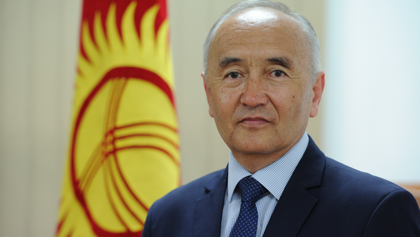 КРдин Билим берүү жана илим министринин орун басары Салидин Калдыбаев - Sputnik Кыргызстан