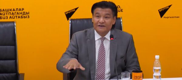 Не надо бояться конфликтов в ЕАЭС — эксперт - Sputnik Кыргызстан