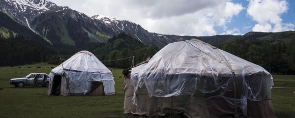 Джайлоо Иссык-Кульской области Джайлоо Иссык-Кульской области - Sputnik Кыргызстан