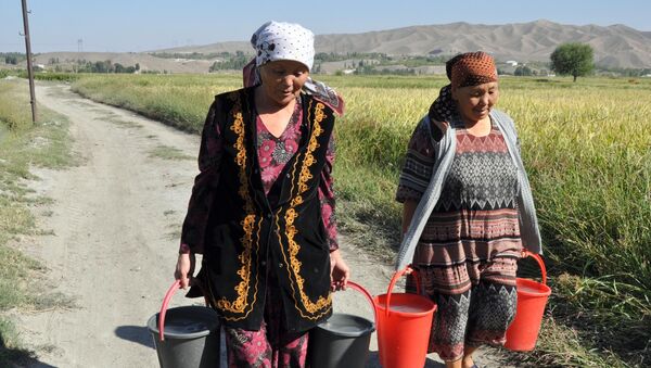 Проблема питьевой воды в Баткене - Sputnik Кыргызстан