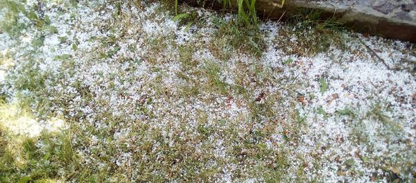 Град в Иссык-Кульской области - Sputnik Кыргызстан