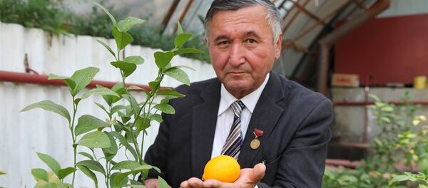 Директор образовательного центра имени Алишера Навои в Джалал-Абаде Мамасали Кадиров - Sputnik Кыргызстан