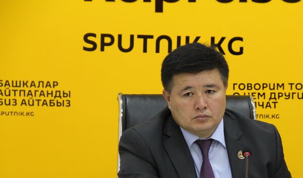Директор Департамента рационального использования природных ресурсов Госагентства охраны окружающей среды и лесного хозяйства Алмаз Мусаев - Sputnik Кыргызстан