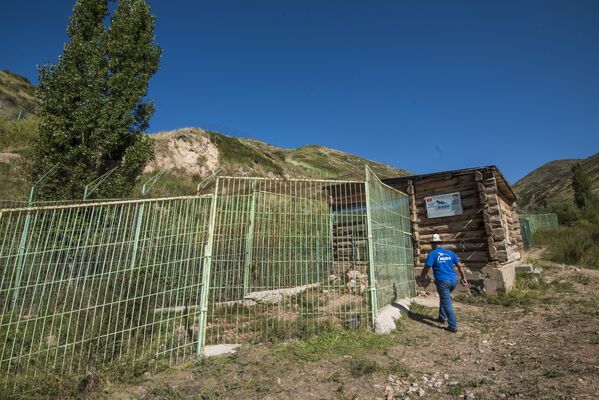 Реабилитационный центр для диких животных в горах близ села Ананьево - Sputnik Кыргызстан