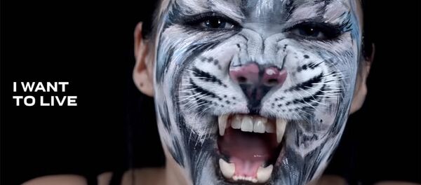 Дикие рыки Айжан Асемовой и Мирбека Атабекова: мы должны спасти барсов - Sputnik Кыргызстан