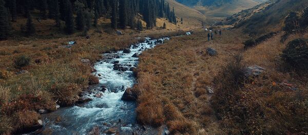 Потрясающее место! — заповедник Шамси с высоты птичьего полета Потрясающее место! — заповедник Шамси с высоты птичьего полета - Sputnik Кыргызстан