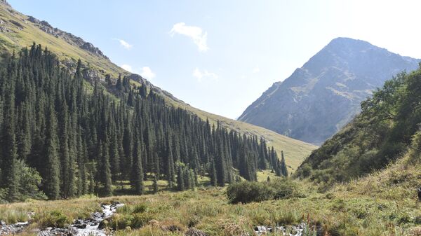 Горы в Иссык-Кульской области. Архивное фото - Sputnik Кыргызстан