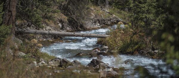 Горная река. Архивное фото - Sputnik Кыргызстан