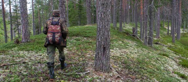 Водлозерский национальный парк в Архангельской области - Sputnik Кыргызстан