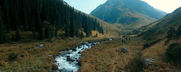 Ущелье Шамси в Чуйской области. Архивное фото - Sputnik Кыргызстан