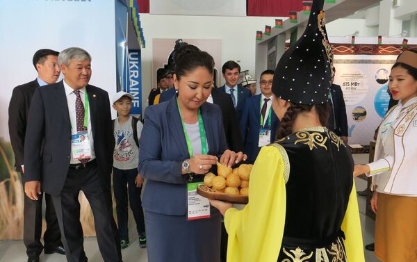 В мероприятии приняла участие вице-премьер КР Чолпон Султанбекова, которая поздравила астанинцев с прошедшим накануне Днем конституции Казахстана и успешным проведением ЭКСПО - Sputnik Кыргызстан