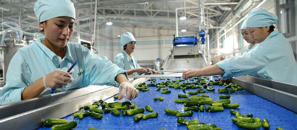 Завод по производству консервированных фруктов и овощей в селе Ново-Павловка - Sputnik Кыргызстан