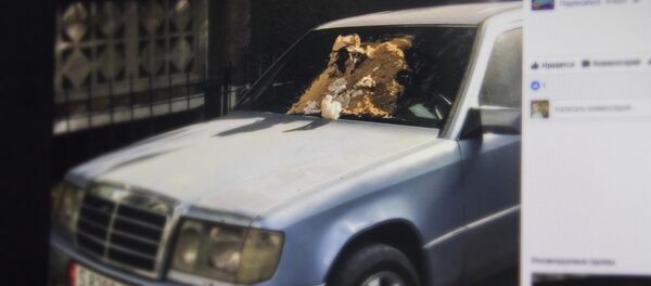 Снимок с социальной сети Facebook пользователя Daniyar Kubat. Помои на машине Снимок с социальной сети Facebook пользователя Daniyar Kubat. Помои на машине - Sputnik Кыргызстан