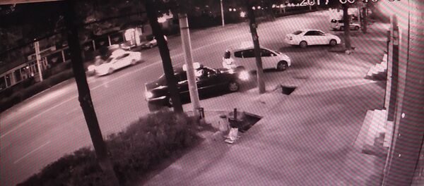 Назаровдун кызы кабылган кырсык: милициянын куугуну видеого түшүп калган - Sputnik Кыргызстан