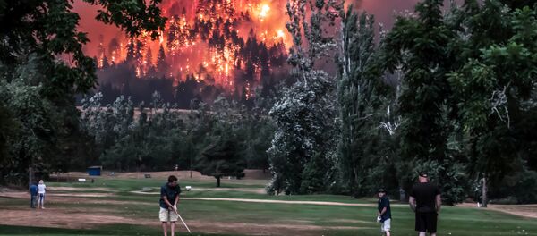 Лесной пожар в Северном Бонневиле, США - Sputnik Кыргызстан