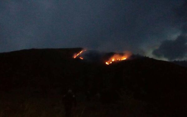 В Григорьевском ущелье Иссык-Кульской области пожар охватил порядка пяти гектаров сухотравия - Sputnik Кыргызстан