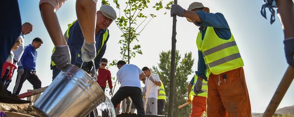 Сотрудники мэрии Бишкека и горожане во время посадки саженцев. Архивное фото - Sputnik Кыргызстан