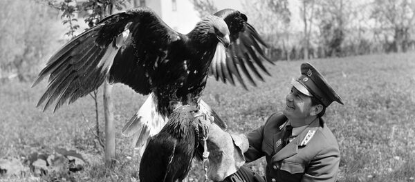 Директор Иссык-Кульского заповедника занимается с ловчей птицей Директор Иссык-Кульского заповедника занимается с ловчей птицей - Sputnik Кыргызстан