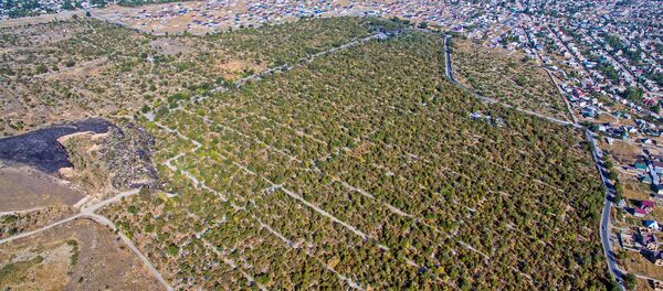 Юго-Западное кладбище Бишкека - Sputnik Кыргызстан