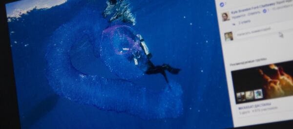 Снимок с социальной сети Facebook пользователя Abc Scuba Diving Port Douglas - Sputnik Кыргызстан