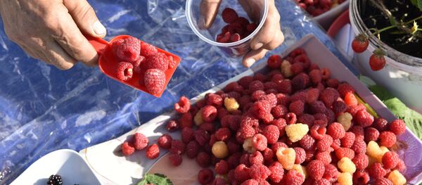 Свенская ярмарка в Брянске - Sputnik Кыргызстан