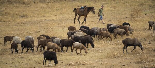 Жизнь в селе Ортосай - Sputnik Кыргызстан