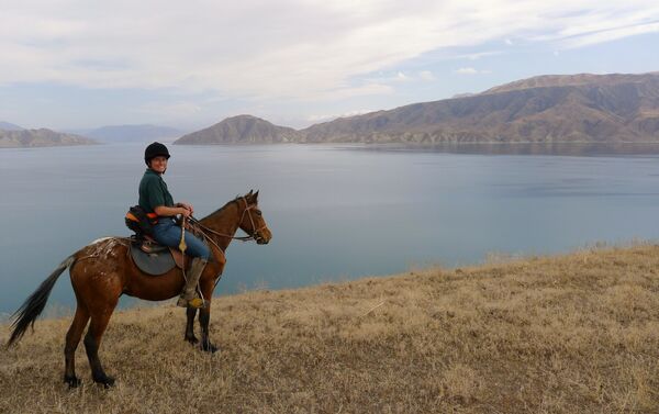 Пятнистый конь вынослив — он выдерживает плохую погоду, дальние дистанции и может выжить на подножном корме - Sputnik Кыргызстан
