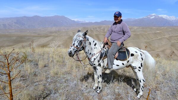 Разводчик пятнистых лошадей породы Аппалуза Мунарбек Кулданбаев - Sputnik Кыргызстан