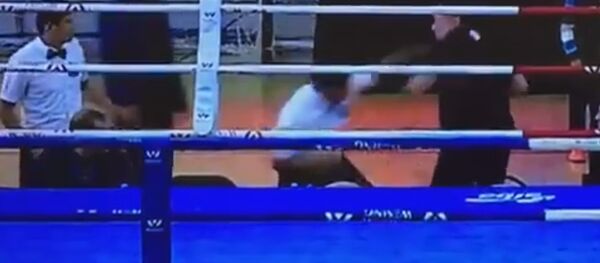 Боксер и его тренер избили рефери в Казахстане — видео инцидента Боксер и его тренер избили рефери в Казахстане — видео инцидента - Sputnik Кыргызстан