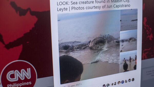 Десятиметровая туша морского животного найденная на берегу острова Лейт (Филиппины), фото со страницы Twitter CNN Philippines - Sputnik Кыргызстан