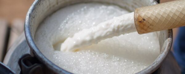 Сүт. Архив Сүт. Архив - Sputnik Кыргызстан