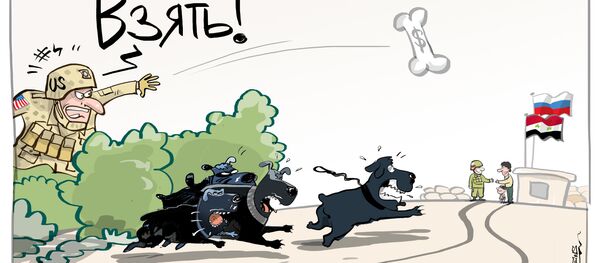 Фас!.. - Sputnik Кыргызстан